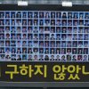 sewol1